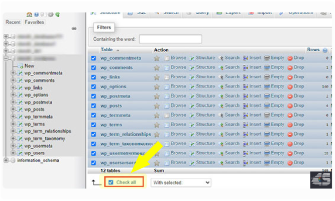 چک کردن دیتابیس وردپرس